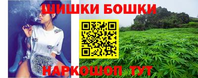 не бодяженный Гай