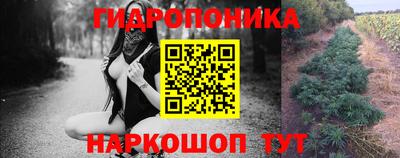 спайс Гагарин