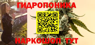 спайс Гагарин